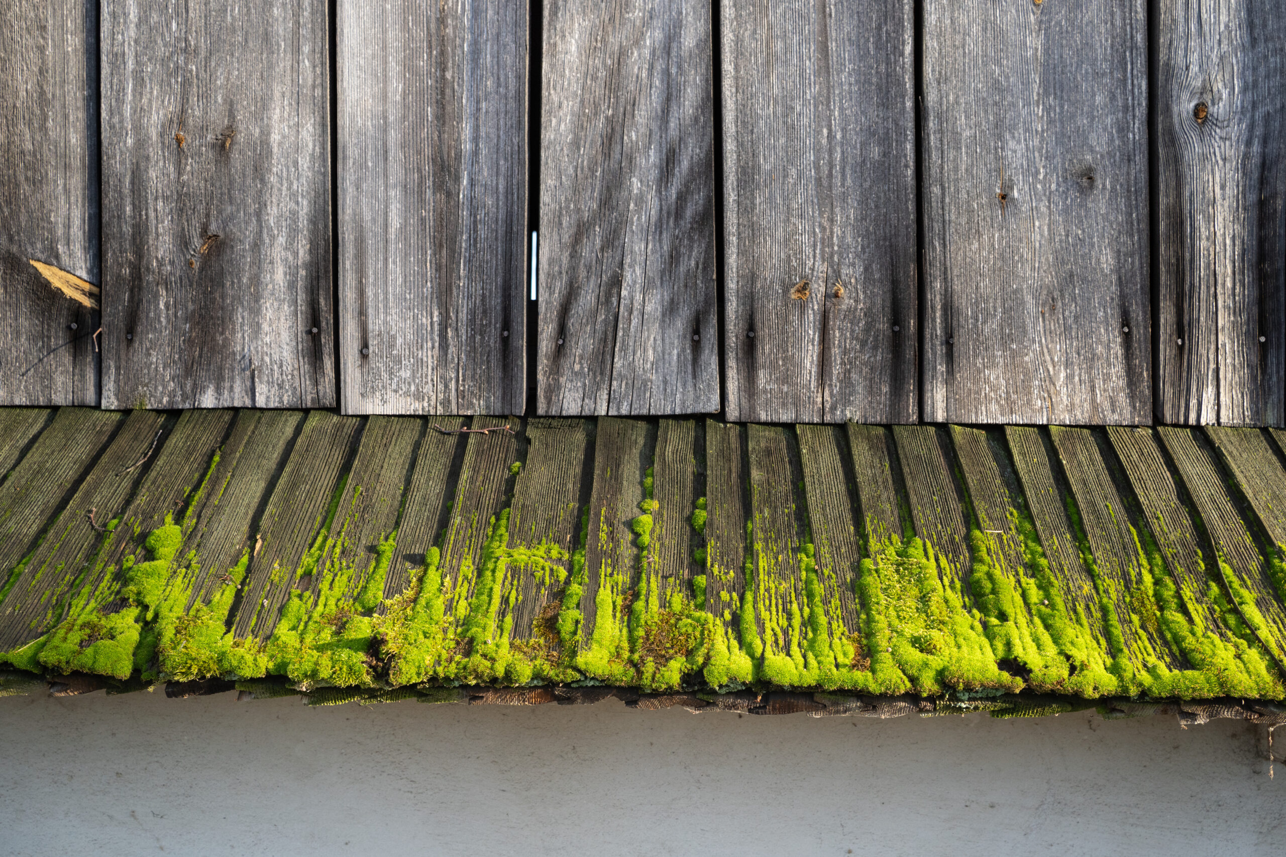 LM Izba Regionalna DACH