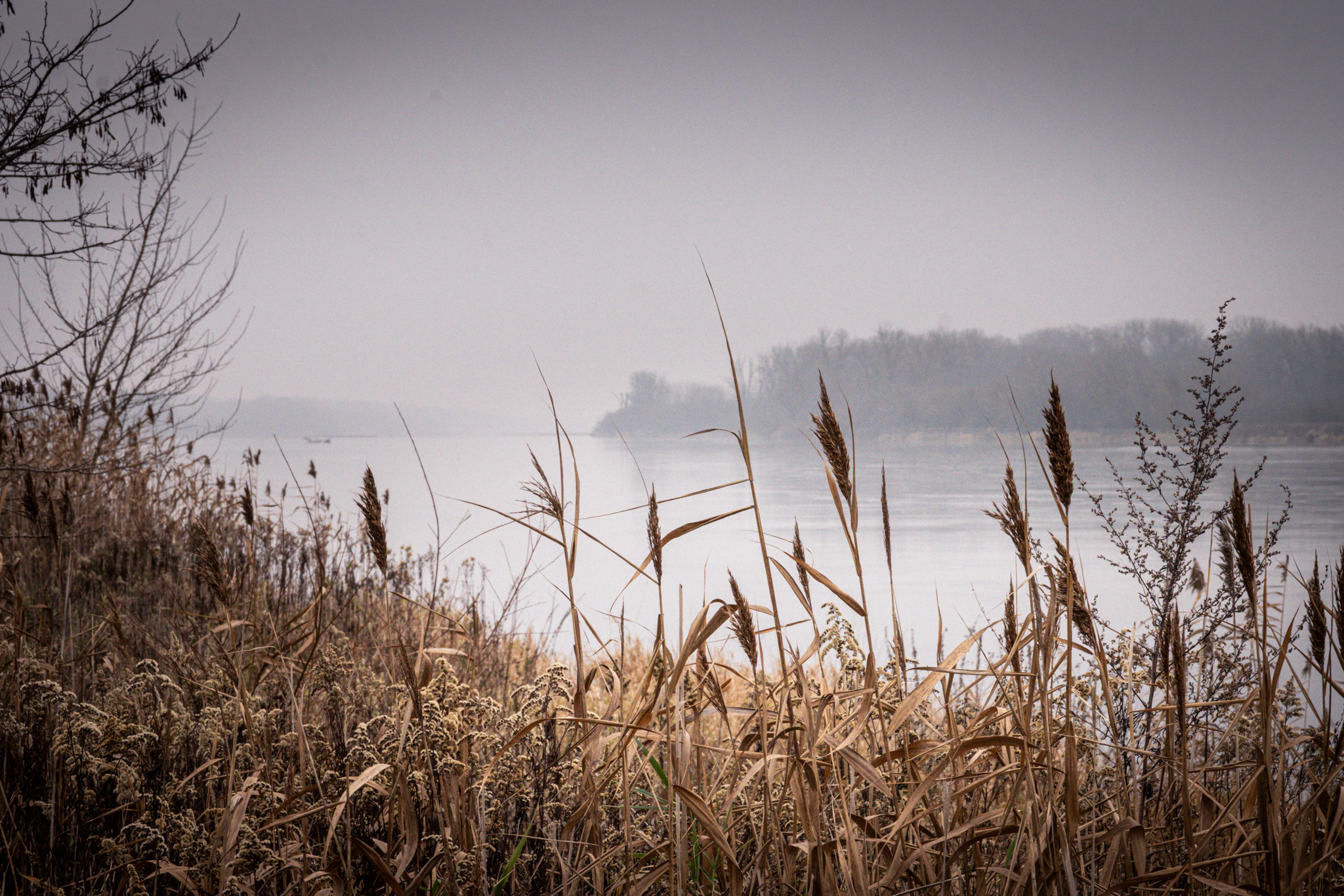 Czerwinsk i okolice Wyszogrod Wisla 2