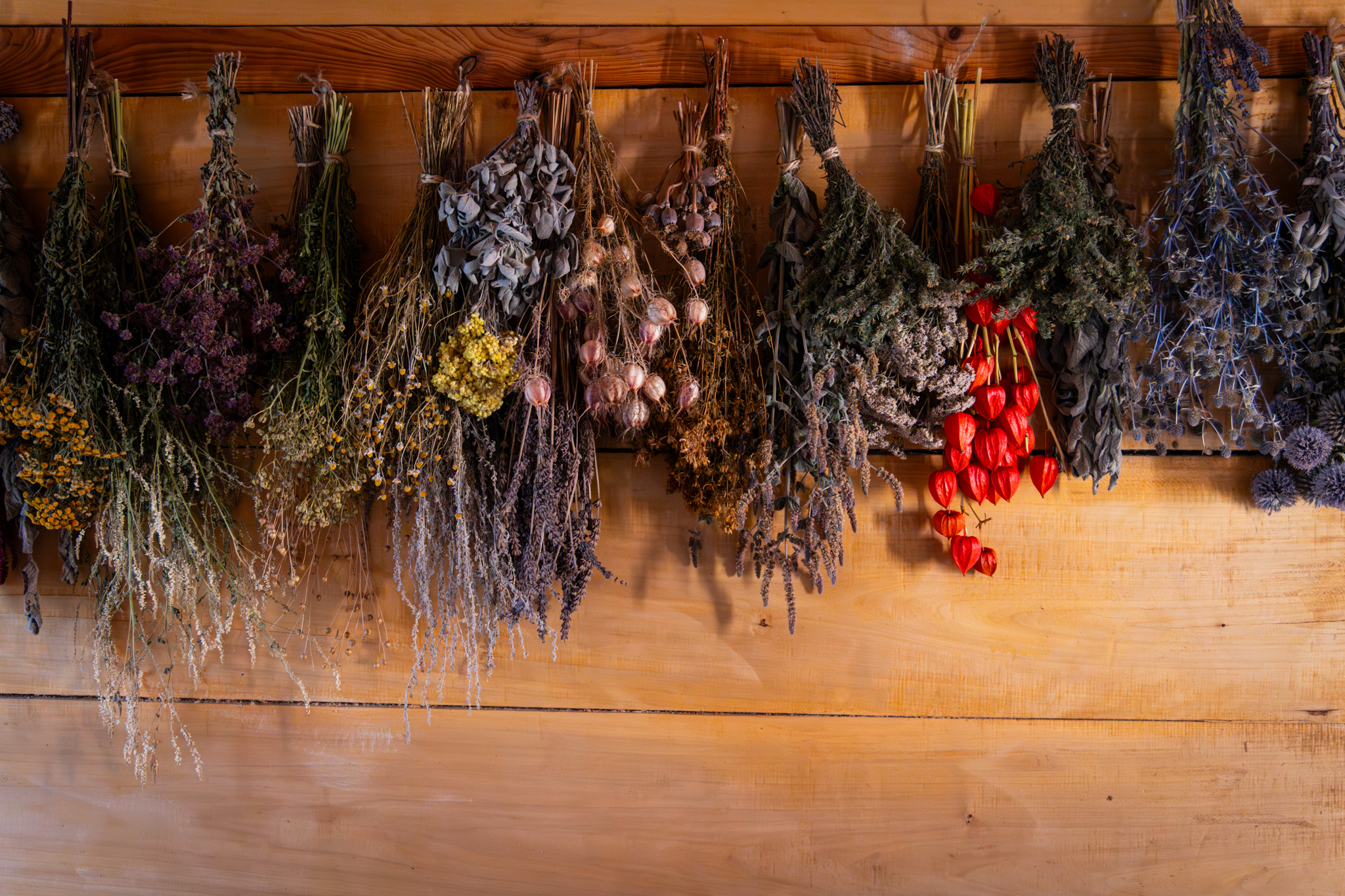 Wiaczemin Polski skansen Zagroda z Bialobrzeg wnetrze 1